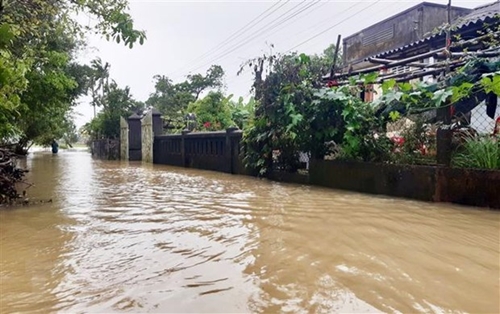 Công điện của Thủ tướng Chính phủ về chủ động ứng phó, khắc phục hậu quả mưa lũ
